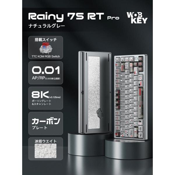 国内発送】WOBKEY Rainy75 RT Pro ナチュラルグレー : ジョイショップ