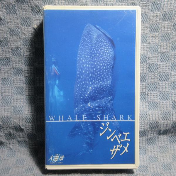 MA031●PCVE-10456「NHKビデオ 大海球 ジンベエザメ(WHALE SHARK)」VHSビデオ