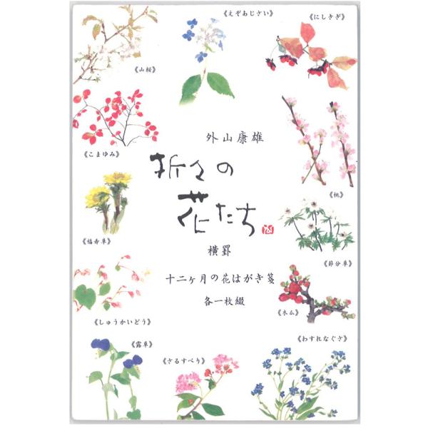 表現社 はがき箋 横書き 12柄 12枚 美濃和紙 折々の花 十二ヶ月の花 24ー222