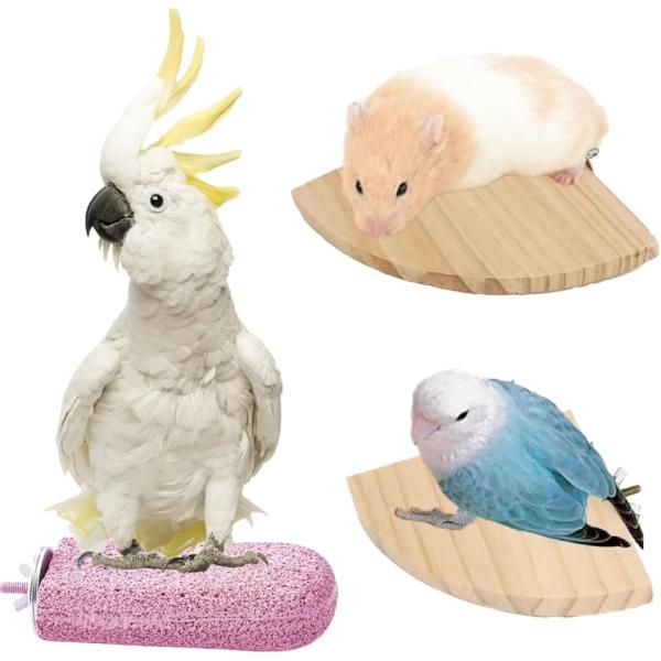 バリエーションコード : 2B9OFF4LSK簡単に洗える小動物・小鳥用爪とぎステップ。 この爪とぎステップは、爪を少しずつ自然に削るざらざらした表面が特徴です。衛生的な樹脂製で丸洗いが可能なので、清潔さを保ちながら使えます。小動物や小鳥の...