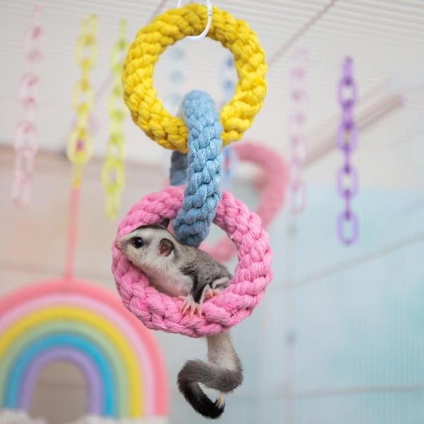 バリエーションコード : 2B9T0S6VSRループおもちゃでペットの住環境を向上：ループおもちゃは、モモンガやフクロウ、小動物のゲージに吊り下げて使える便利なペット飼育グッズです。編み込みロープのコットン製で、つかみやすく滑りにくいのが特...