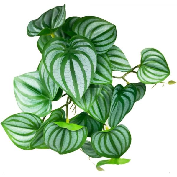 バリエーションコード : 2BJD1L063I・ペットの水槽を熱帯雨林のような雰囲気に変える、吸盤付き人工植物です。・亀、イグアナ、トカゲ、ヤモリ、カエル、ヘビ、カメレオン、ヤドカリなどの飼育環境に適しています。・吸盤が付いているので、飼育...