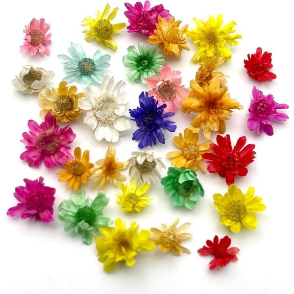 バリエーションコード : 2BR561T2VL天然の花を加工したミニドライフラワー約400輪セットです。日本人スタッフが丁寧に計量と袋入れを行っています。類似品より安くコストパフォーマンスに優れています。重量：1.8g　数量：約400輪（重...