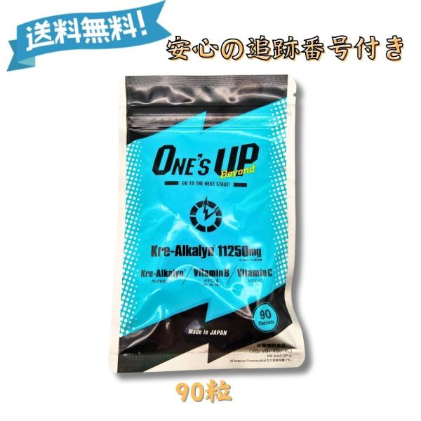 ワンズアップ 90粒×4袋 ＋ビヨンド 90粒 共に新品 未開封 ワンズアップ 90粒×4袋 ＋ビヨンド 90粒 共に新品 未開封 ワンズ