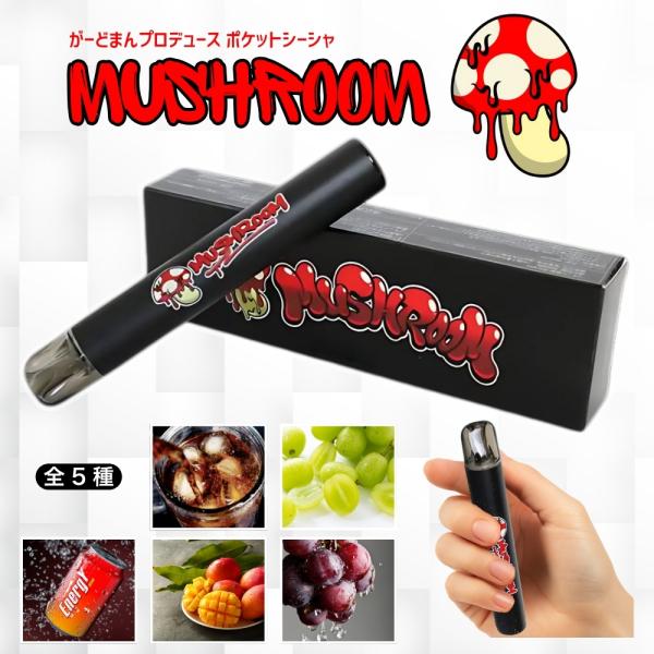 ニコチン&amp;タール&amp;タバコ臭ゼロの持ち運び用ポケットシーシャ●身体に有害とされているニコチンやタール ゼロ●タバコ特有の匂いなし●受動喫煙・副流煙なし●しっかりとした風味と吸いごたえ●面倒なメンテナンスやクリーニングも不要◎選...