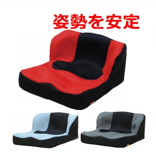 タカノ　LAPS TC-L01 姿勢矯正クッション 赤黒 直送 車いすクッション】座位保持クッション LAPS（ラップス）TC-L01