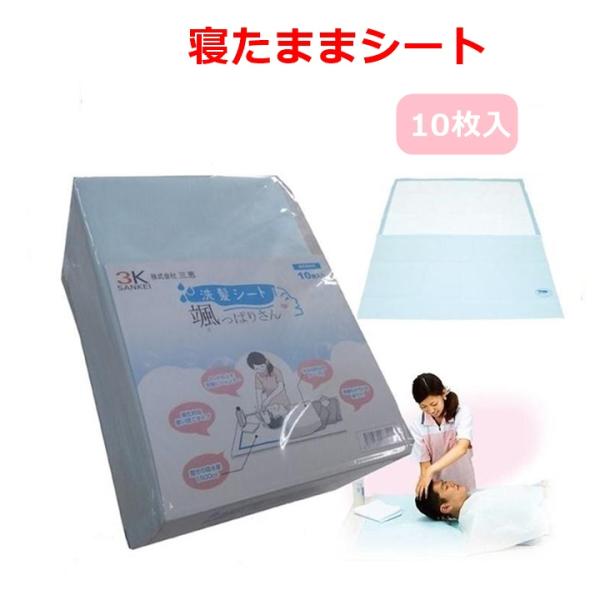 洗髪シート 颯っぱりさん 10枚入 ベッド 布団の上 シート 使い捨て 洗髪 シャンプー 入浴できない 濡れない 介護用 吸水 三恵 U 2676 3300b 前後前ショップ ヤフー店 通販 Yahoo ショッピング