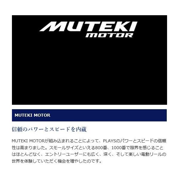 zeniya-tsurigu_037053_1