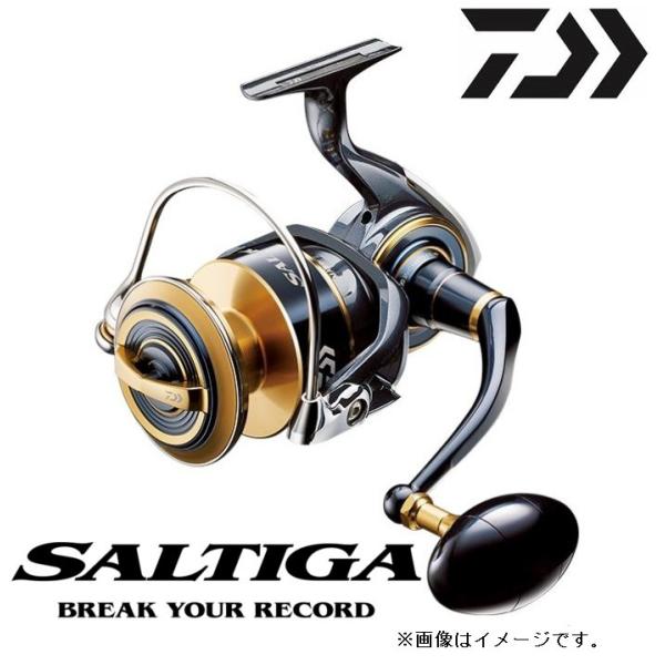 DAIWA（釣り） ダイワ 20 ソルティガ 18000-H / スピニング リール 