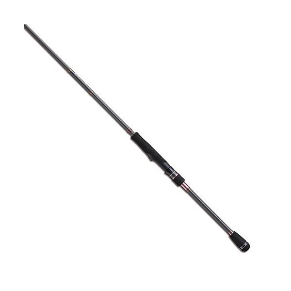 ソルティーシェイプ　ダッシュ テイルウォーク ソルティシェイプダッシュ ベイボーター