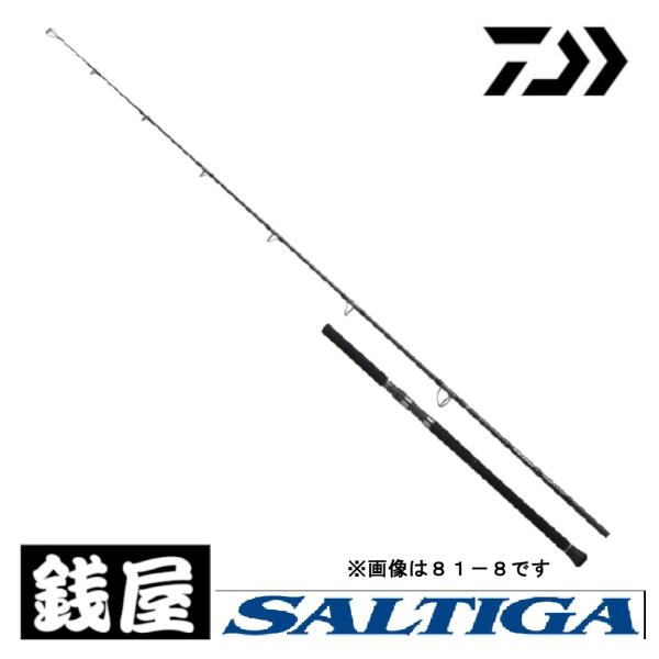 DAIWA（釣り） ダイワ ソルティガ C ドッグファイト 76-10 送料