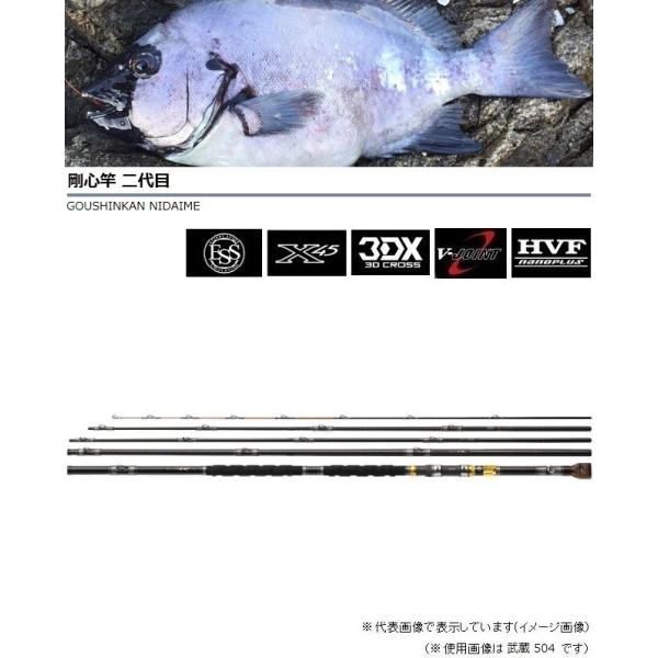 DAIWA(釣り) ダイワ 別誂 剛心竿 武蔵 504・E /磯竿 DAIWA(釣り) ダイワ 別誂 剛心竿 武蔵 504・E /磯竿