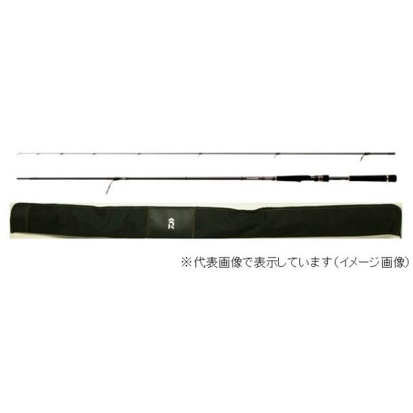 DAIWA（ダイワ） モアザン エキスパート AGS 106M ／シーバス