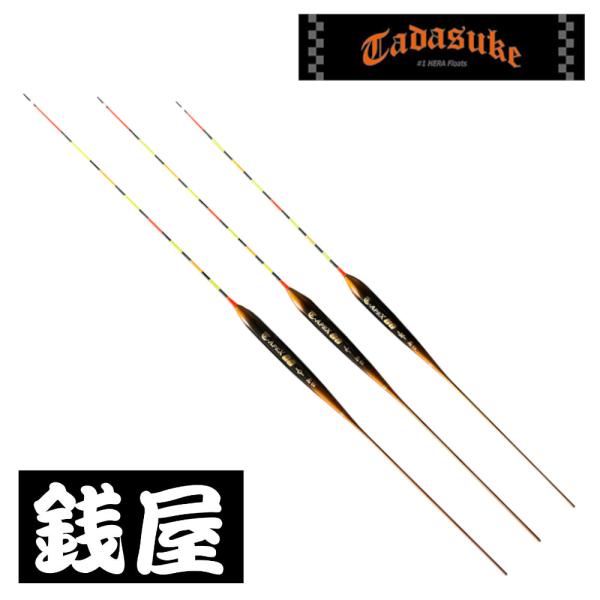 zeniya-tsurigu_t-apexgg-l zeniya-tsurigu_t-apexgg-l