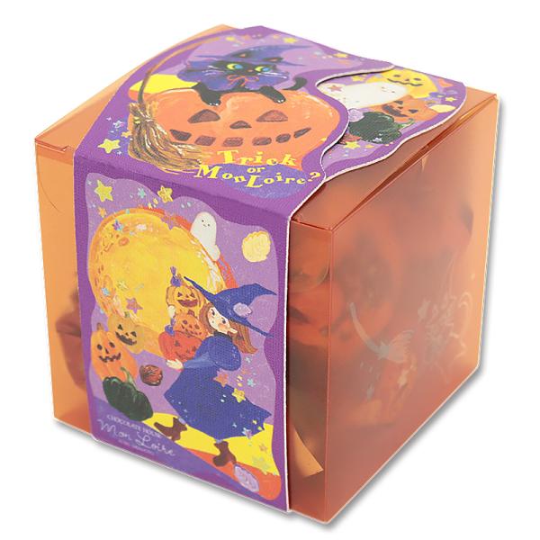 zenmei-0709_20240627mrwrmnt1