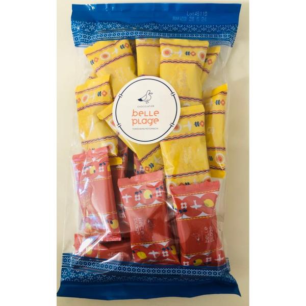 ベルプラージュ ルルフィナンシェ サービスパック 20個入り 1袋 袋付き クッキー プレーン ショコラオランジュ お菓子 詰め合わせ 人気