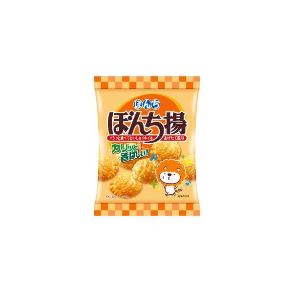 ぼんち ぼんち揚 60g入 1袋 ぼんち（株） : 善野菓子店 Yahoo
