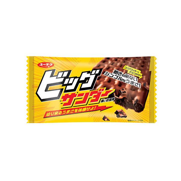 有楽製菓 ビッグサンダー 個 チョコレート 価格比較 価格 Com