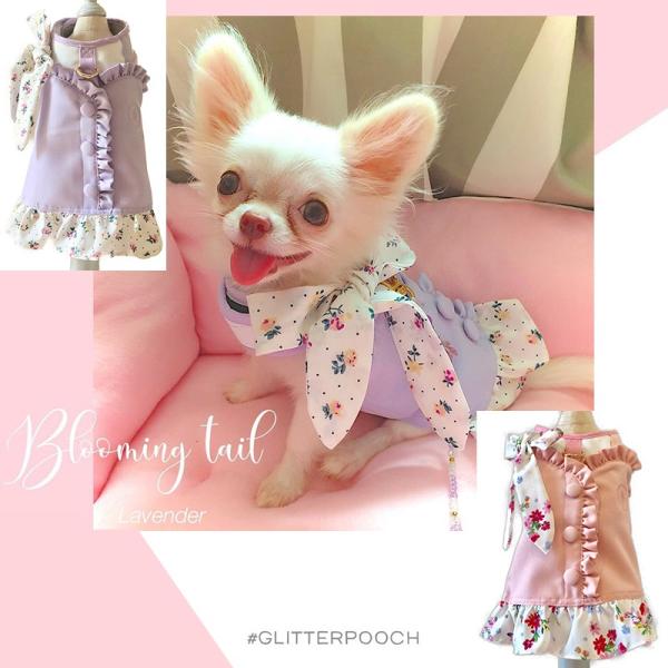 ^ n[lX xXg^ EFA ̌^ GLITTER POOCH u[~OeC ^  ȒP }WbNe[v 