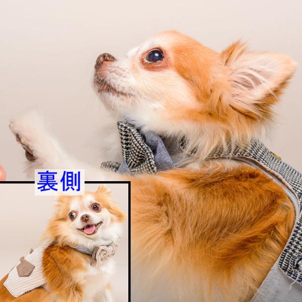 ^ n[lX xXg^ EFA ̌^ GLITTER POOCH ue p o[Vu ^  ȒP }WbNe[v