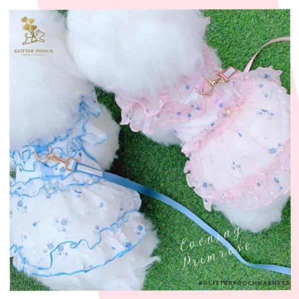 ^ n[lX xXg^ EFA ̌^ GLITTER POOCH CujO v[Y ^  ȒP }WbNe[v 