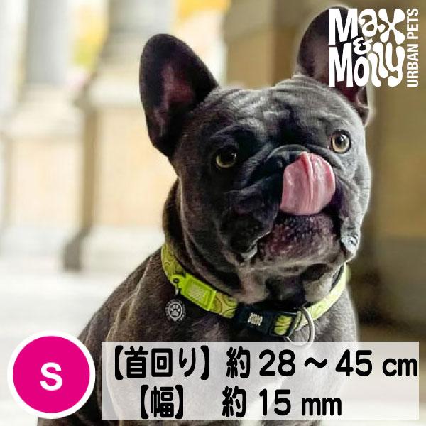 在庫限り 犬 首輪 デジタル迷子札付き Max&Molly オリジナルギア
