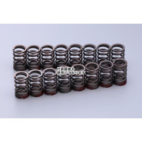 東名パワード VALVE SPRING 4G63 163060