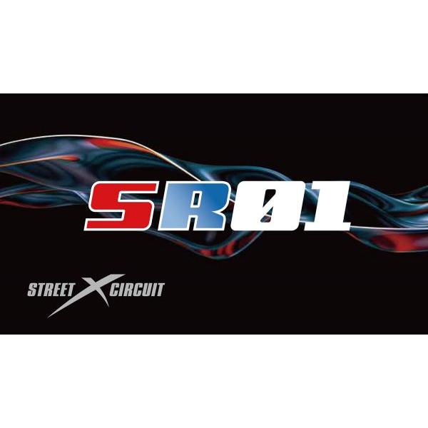 ENDLESS（エンドレス） ブレーキパッド【 SR01 】(フロント用) トヨタ