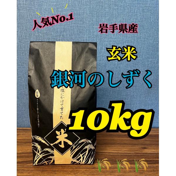 米 玄米【令和７年産岩手県産銀河のしずく10kg】