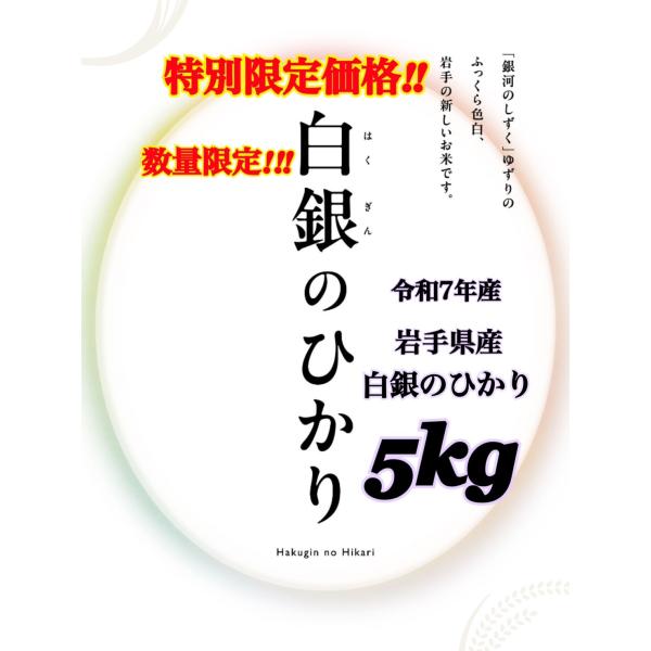 米 新商品！人気商品！【令和7年産岩手県産白銀のひかり5kg】 : 杉善