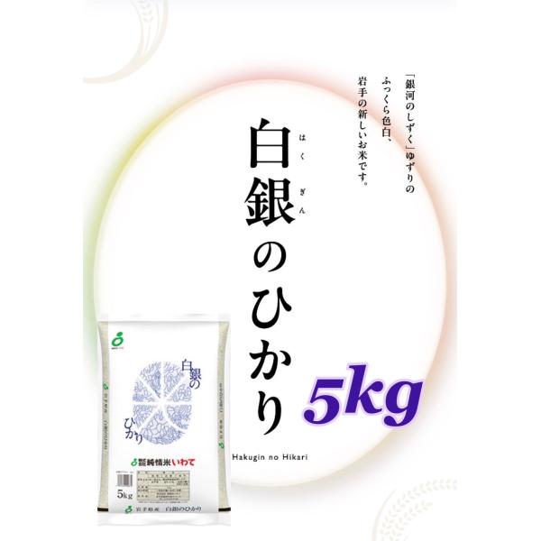 米 新商品！【令和7年産岩手県産白銀のひかり5kg】 : 杉善ショップ