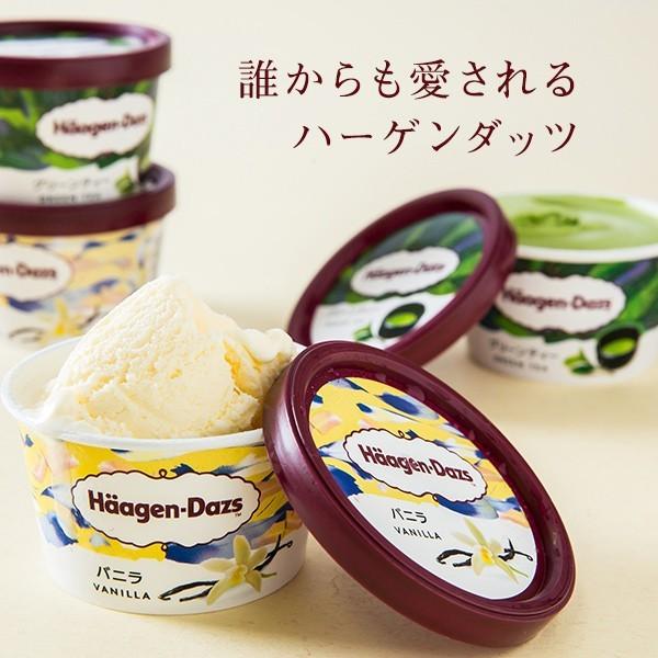 遅れてごめんね父の日 とろけるスプーン付き ハーゲンダッツ アイスクリーム 夏季限定 11個 Prettyfunnyballoons Com