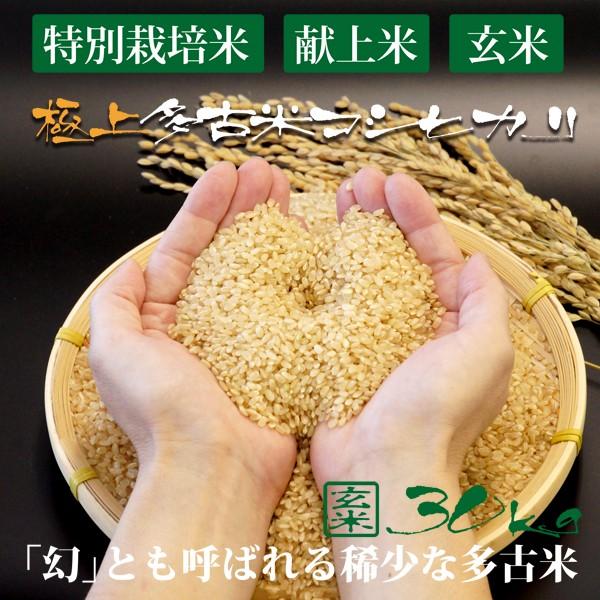 コシヒカリ 萩原農場 多古米 【玄米】(30kg)令和6年産 (2024 コシヒカリ 萩原農場 多古米 【玄米】(30kg)令和6年産 (2024