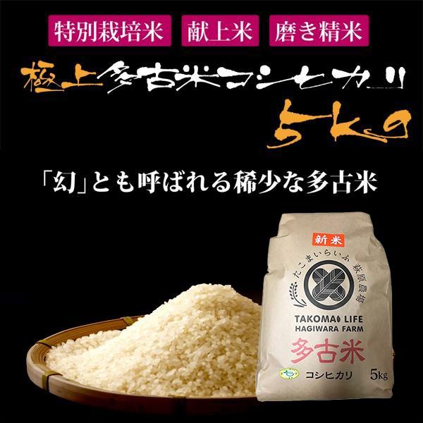 コシヒカリ 萩原農場 多古米 磨き 精米（5kg）令和7年産 （2025