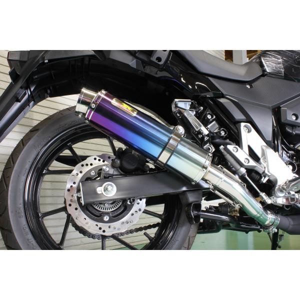 Realize Vストローム250 Aria SUS TypeS スリップオン | www.jarussi