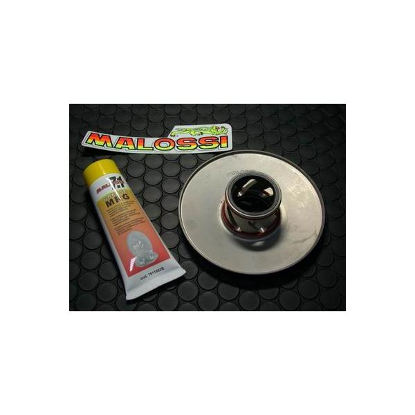 ☆セール ライブディオ ZX（DIO）〜99年 トルクドライバー MALOSSI