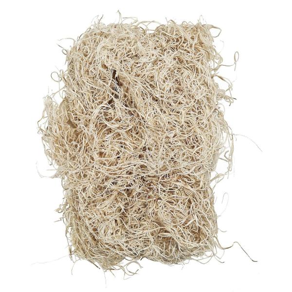 【商品概要】約50g主な素材:天然素材原産国:日本国プリザーブドフラワーグリーン リーフ 実もの 枝もの染料が切り口や表面から漏れることがありますので、直射日光や湿気は避けてください。直射日光や高温多湿の場所は避けてください。屋内装飾用のた...