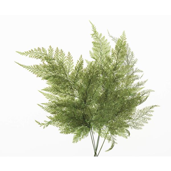 【商品概要】約L17~25cm主な素材:天然素材原産国:日本国プリザーブドフラワーグリーン リーフ 実もの 枝もの染料が切り口や表面から漏れることがありますので、直射日光や湿気は避けてください。直射日光や高温多湿の場所は避けてください。屋内...