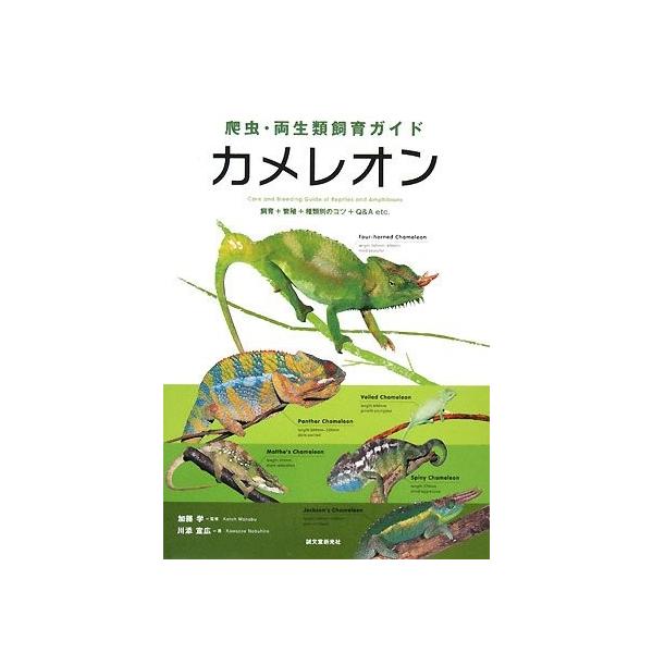 爬虫 両生類飼育ガイド カメレオン 飼育 繁殖 種類別のコツ Q A Etc 中古本 アウトレット Zuk Zero Two 通販 Yahoo ショッピング