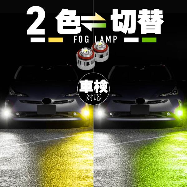 zest-group_27329