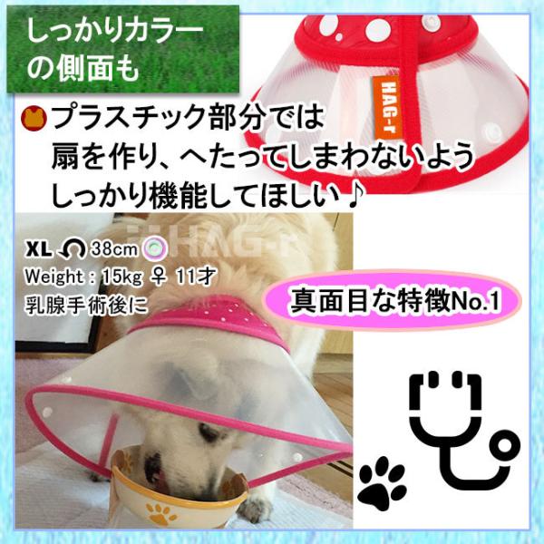 エリザベスカラー 猫 犬 猫用 犬用 ソフト 軽量 介護 手術服 抗菌 消臭 カーラー S M Lサイズ エリザベスカラー いぬ ねこ HAG-r /【Buyee】 エリザベスカラー 猫 犬 猫用 犬用 ソフト 軽量 介護 手術服 抗菌 消臭 カーラー S M Lサイズ エリザベスカラー いぬ ねこ HAG-r /【Buyee】