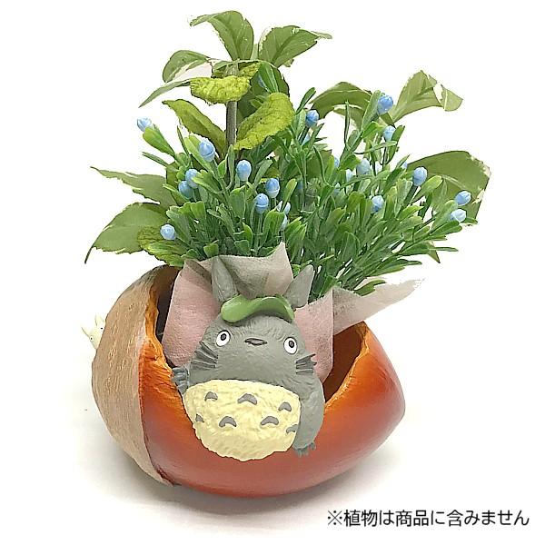 スタジオジブリ となりのトトロ プランターカバー どんぐりさい スタジオジブリ となりのトトロ プランターカバー どんぐりさい