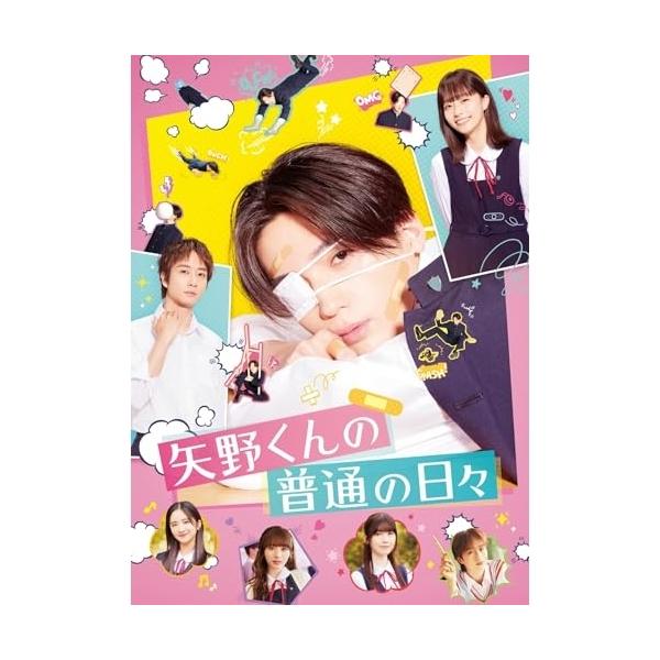 エイベックス（AVEX） DVD/邦画/矢野くんの普通の日々 : 靴下通販