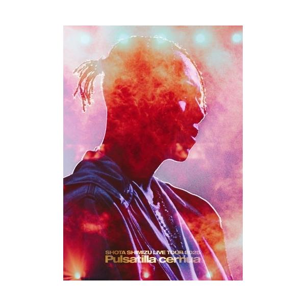 清水翔太　CD/DVD ▽BD/清水翔太/SHOTA SHIMIZU LIVE TOUR 2025 'Pulsatilla cernua'(Blu