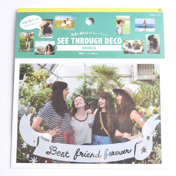 SEE-THROUGH DECO�i�V�[�X���[ �f�R�j ���[�Y�iW�j ���蕨 �v���[���g �M�t�g  �X�N���b�v�u�b�L���O �y�[�p�[ �~�j�A���o�� �ޗ� [M�� 2/25]