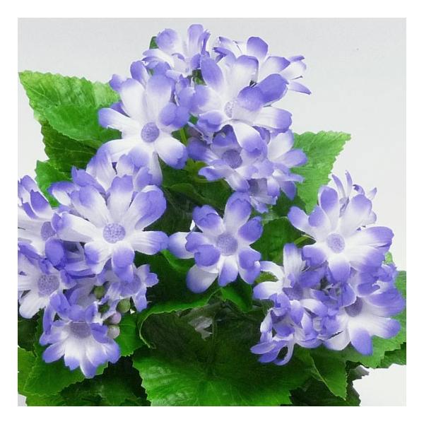 造花 春の花 アートフラワー シネラリア ディスプレイ アレンジ 花束 サイネリアブッシュ ブルー Df40 76 Buyee Buyee Japanese Proxy Service Buy From Japan Bot Online