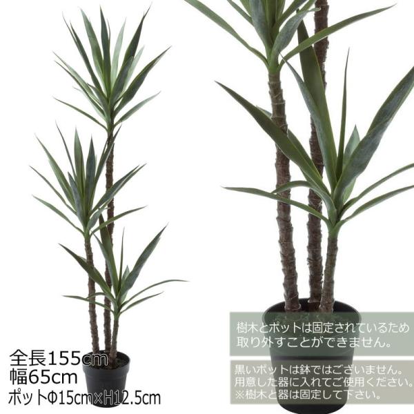 ユッカの人気商品・通販・価格比較 - 価格.com ユッカの人気商品・通販・価格比較 - 価格.com