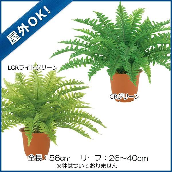 屋外 フェイクグリーン 人工観葉植物 ウォータープルーフフレッシュボストンファンブッシュ L ｘ30 Gl98 Leb L 造花ディスプレイ ドットコム 通販 Yahoo ショッピング