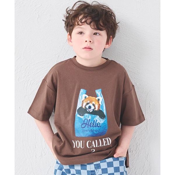 tシャツ 「綿100%」ユニセックス アニマルフォト アソート半袖Tシャツ キッズ 子供服 男の子 女の子