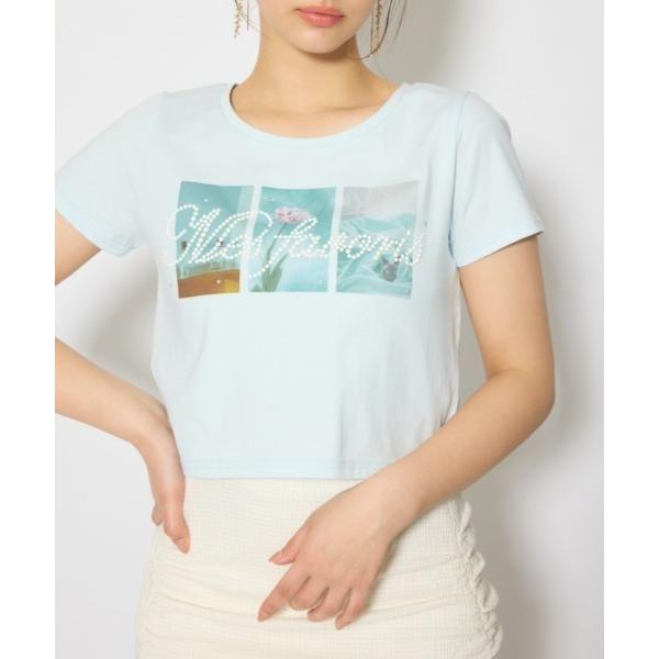tシャツ 半袖 「森香澄さん着用」モチーフフォトショートTシャツ 春服 夏服 半袖 レディース